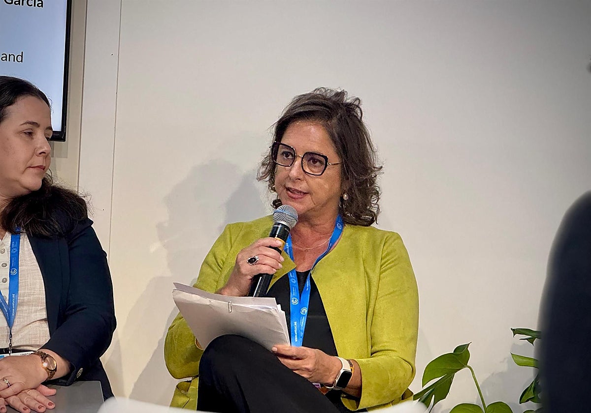 Catalina García, en la COP-29 -