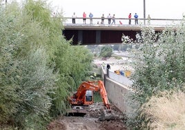 La limpieza del río Guadalquivir a su paso por Córdoba: unos por otros, y el río sin 'barrer'