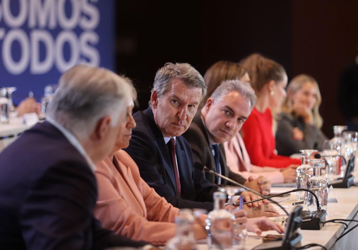 Alberto Núñez Feijóo, presidente del PP, durante un momento de la Junta Directiva Nacional