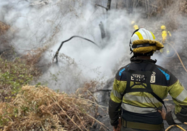 Declarado un conato de incendio con dos focos en una zona de difícil acceso de Tenerife