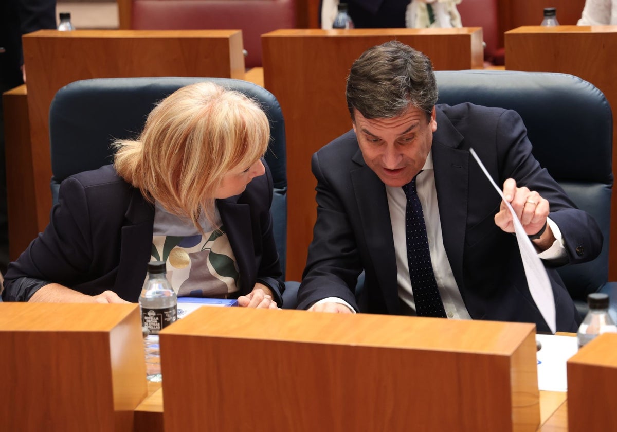 Los consejeros Leticia García y carlos Fernández Carriedo, durante el pleno