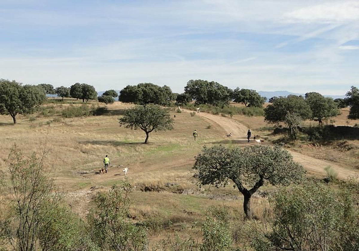 Momento de una montería en la Sierra en una imagen de archivo