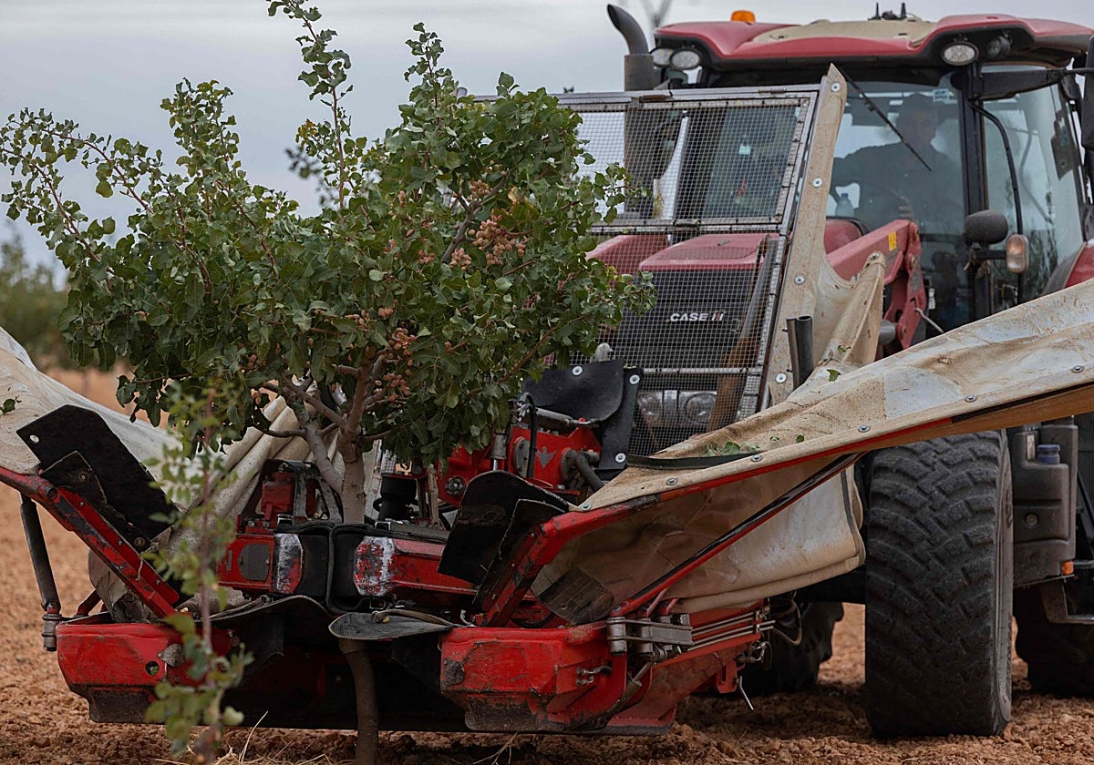 Un tractor en tareas del campo