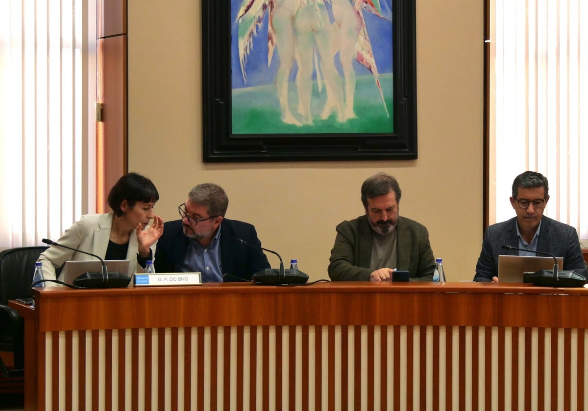 El grupo del BNG en la comisión
