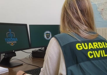 Detienen a un ciberdelincuente que estafó a dos empresas de venta de aceitunas