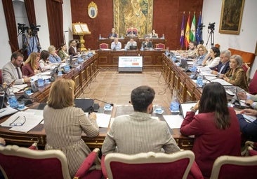 La Diputación inicia el proceso para anticipar 126 millones de recaudación a 77 municipios