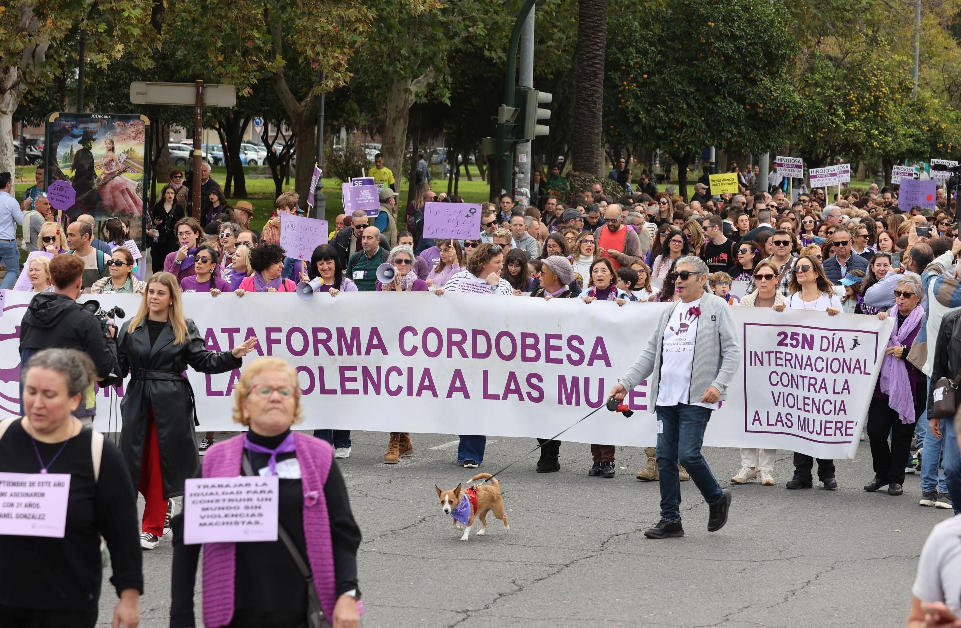 El grito de Córdoba contra la violencia machista, en imágenes