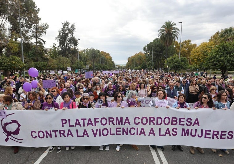 manifestacion-violencia-cordoba-kaGH-U6033929544085cE-758x531@diario_abc.jpg