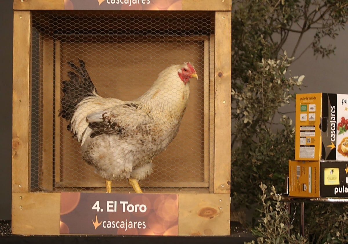 Subasta de capones de Cascajares el año pasado en Valladolid.