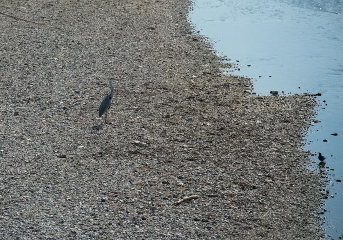 Orilla del río Besós a su paso por Sant Adrià