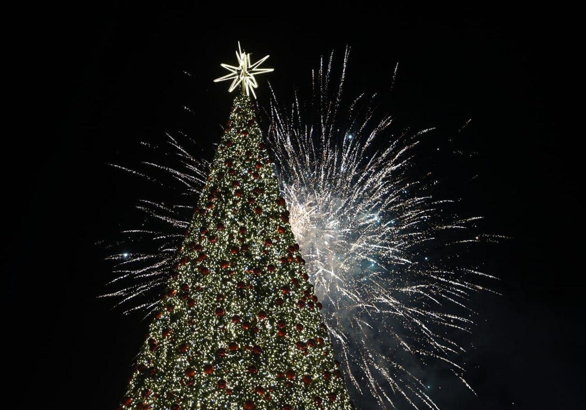 Los fuegos artificiales con el árbol tras el encendido