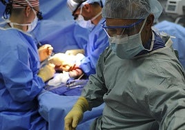 El Consejo Andaluz de Colegios de Médicos certifica que el fin de Muface traería el «desbordamiento total del sistema sanitario público»