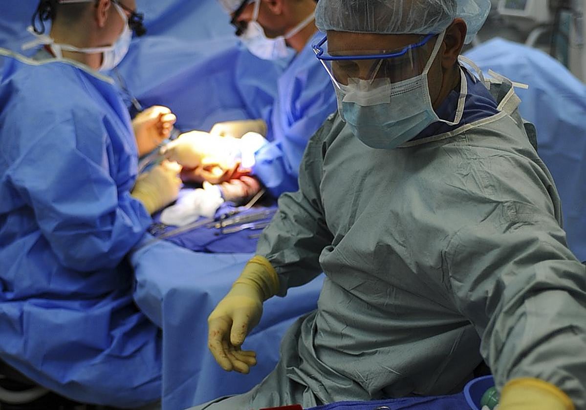 Profesionales sanitarios en plena intervención