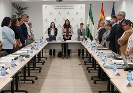 La Junta de Andalucía ofrecerá una «asistencia más integral y completa» a las mujeres con discapacidad víctimas de violencia machista