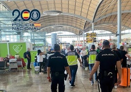 Detienen en Alicante a un fugitivo ucraniano que volaba desde Austria con 20 kilos de marihuana en la maleta