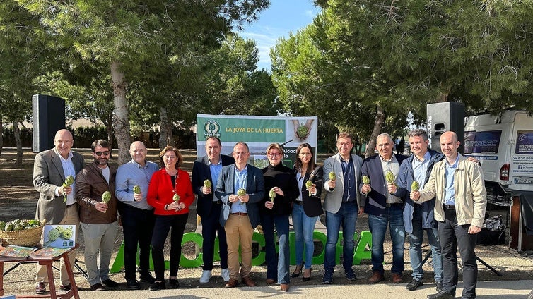 El cultivo de la alcachofa aumenta su superficie un 50% en una década en Alicante