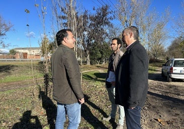 Talavera inicia la recuperación del parque periurbano del camino de Los Caños