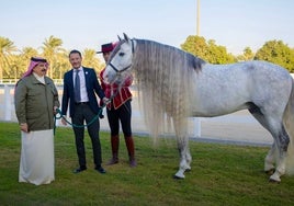 Córdoba Ecuestre obsequia al Rey de Bahréin con el caballo Cortesano