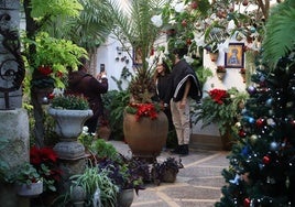 Patios en Navidad: Fiesta íntima entre flores de Pascua y ciclámenes