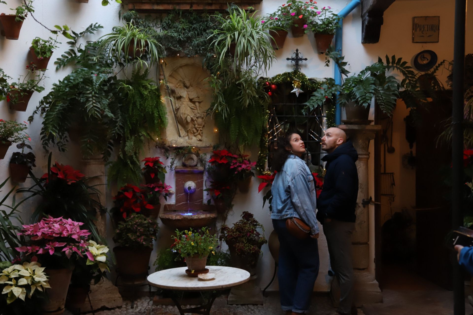 Los Patios de Córdoba abren sus puertas en Navidad, en imágenes