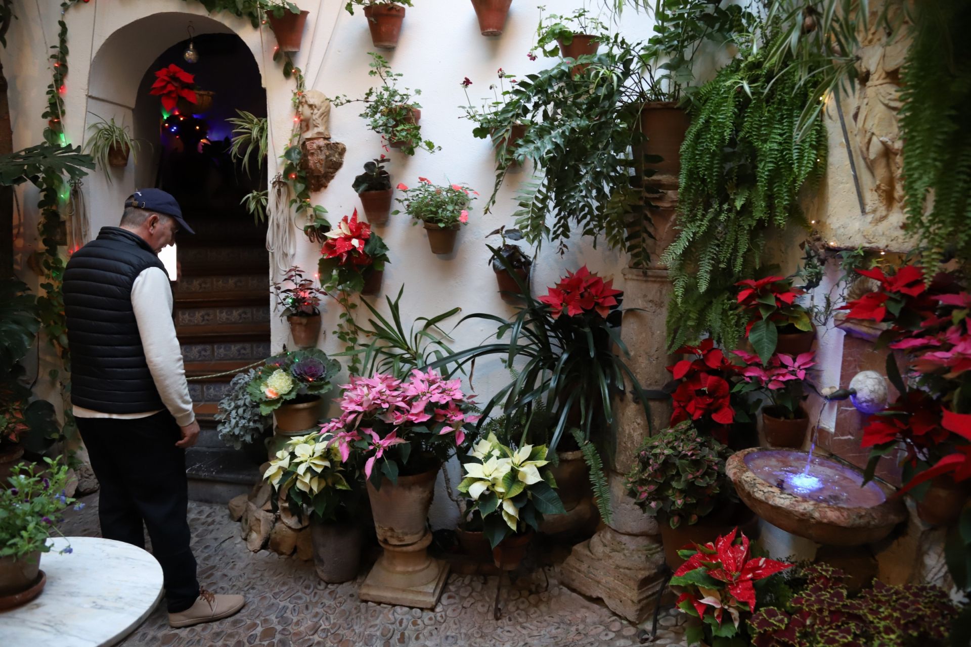 Los Patios de Córdoba abren sus puertas en Navidad, en imágenes