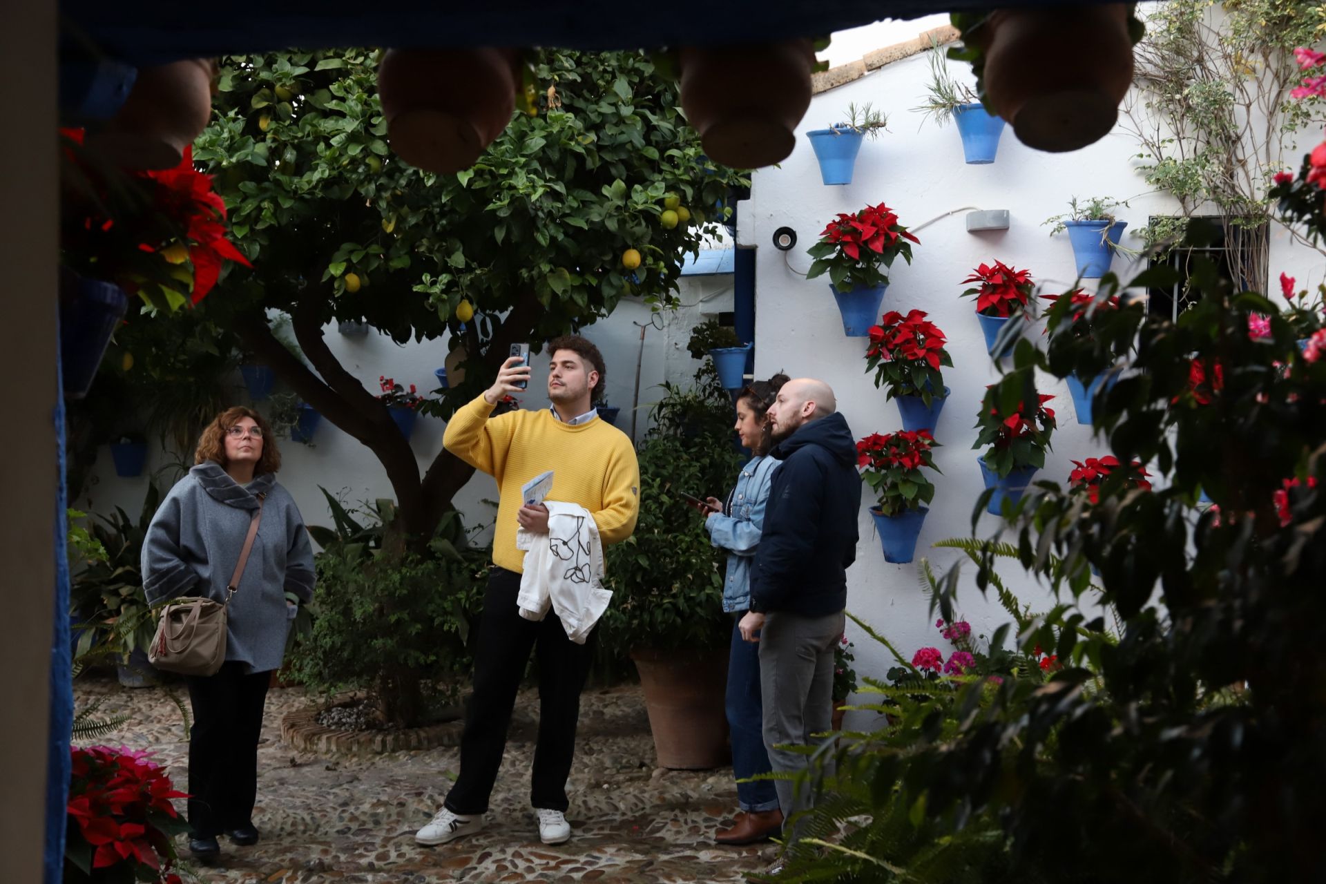 Los Patios de Córdoba abren sus puertas en Navidad, en imágenes