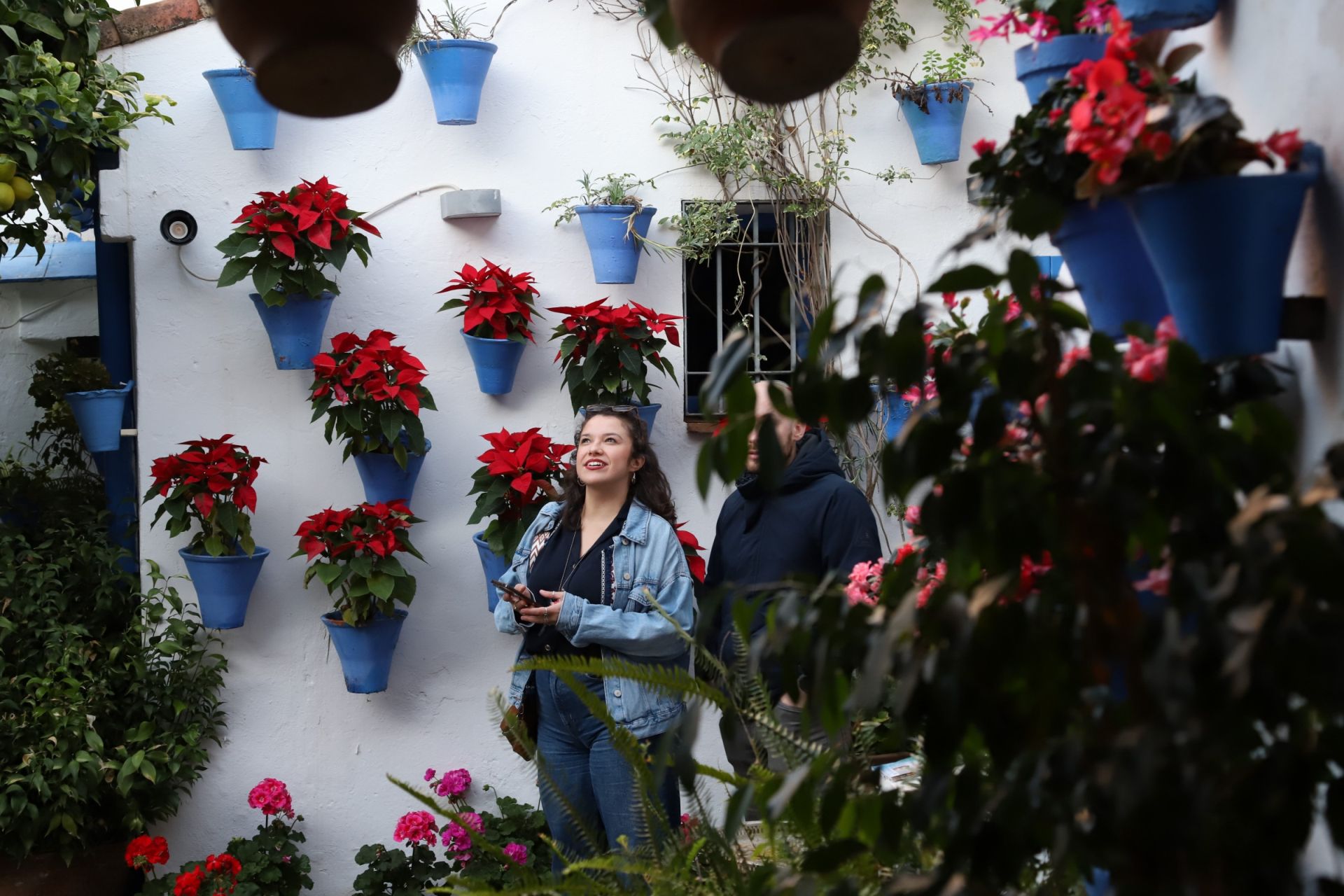 Los Patios de Córdoba abren sus puertas en Navidad, en imágenes