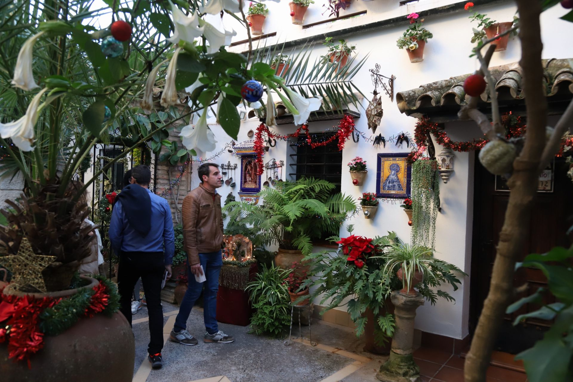 Los Patios de Córdoba abren sus puertas en Navidad, en imágenes