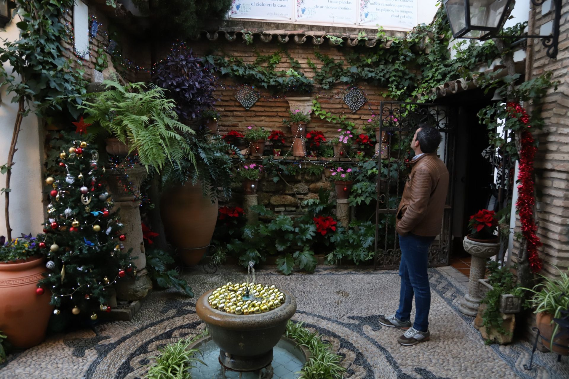 Los Patios de Córdoba abren sus puertas en Navidad, en imágenes