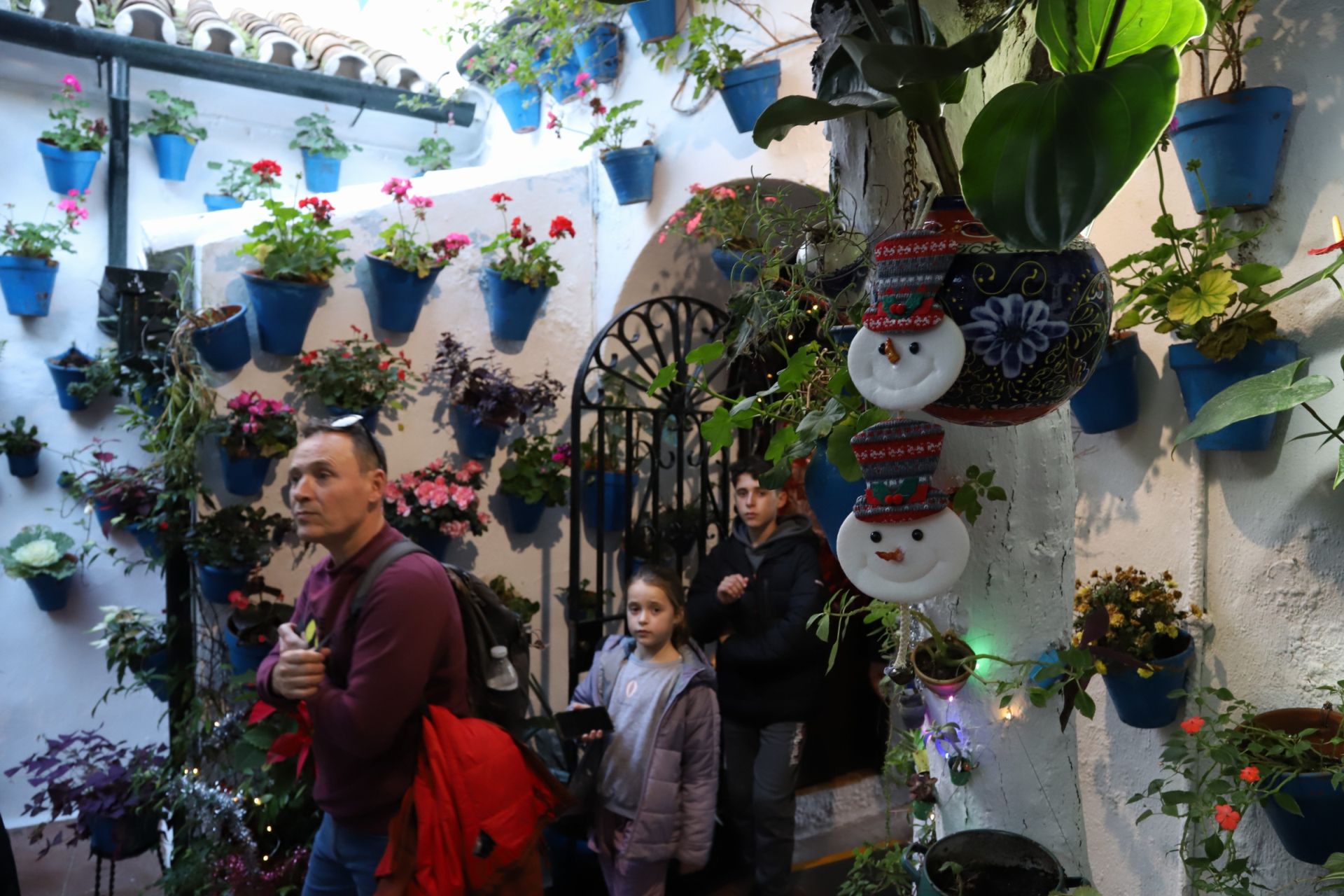 Los Patios de Córdoba abren sus puertas en Navidad, en imágenes