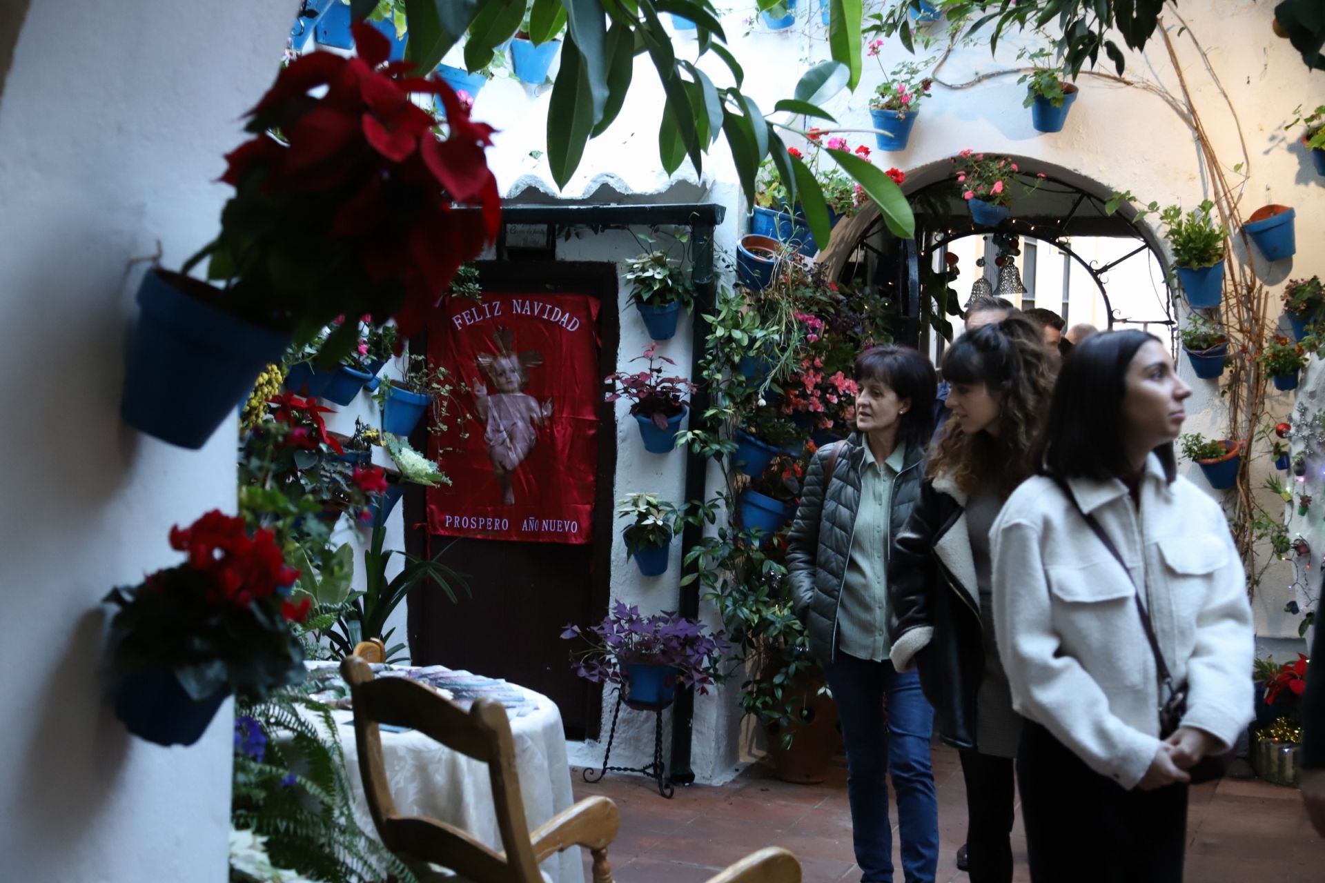 Los Patios de Córdoba abren sus puertas en Navidad, en imágenes
