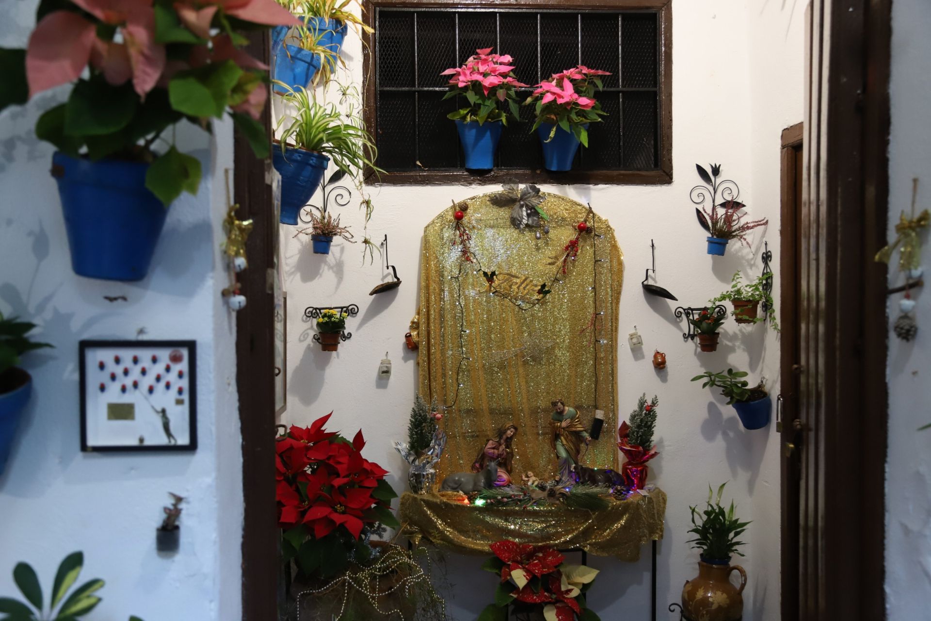 Los Patios de Córdoba abren sus puertas en Navidad, en imágenes