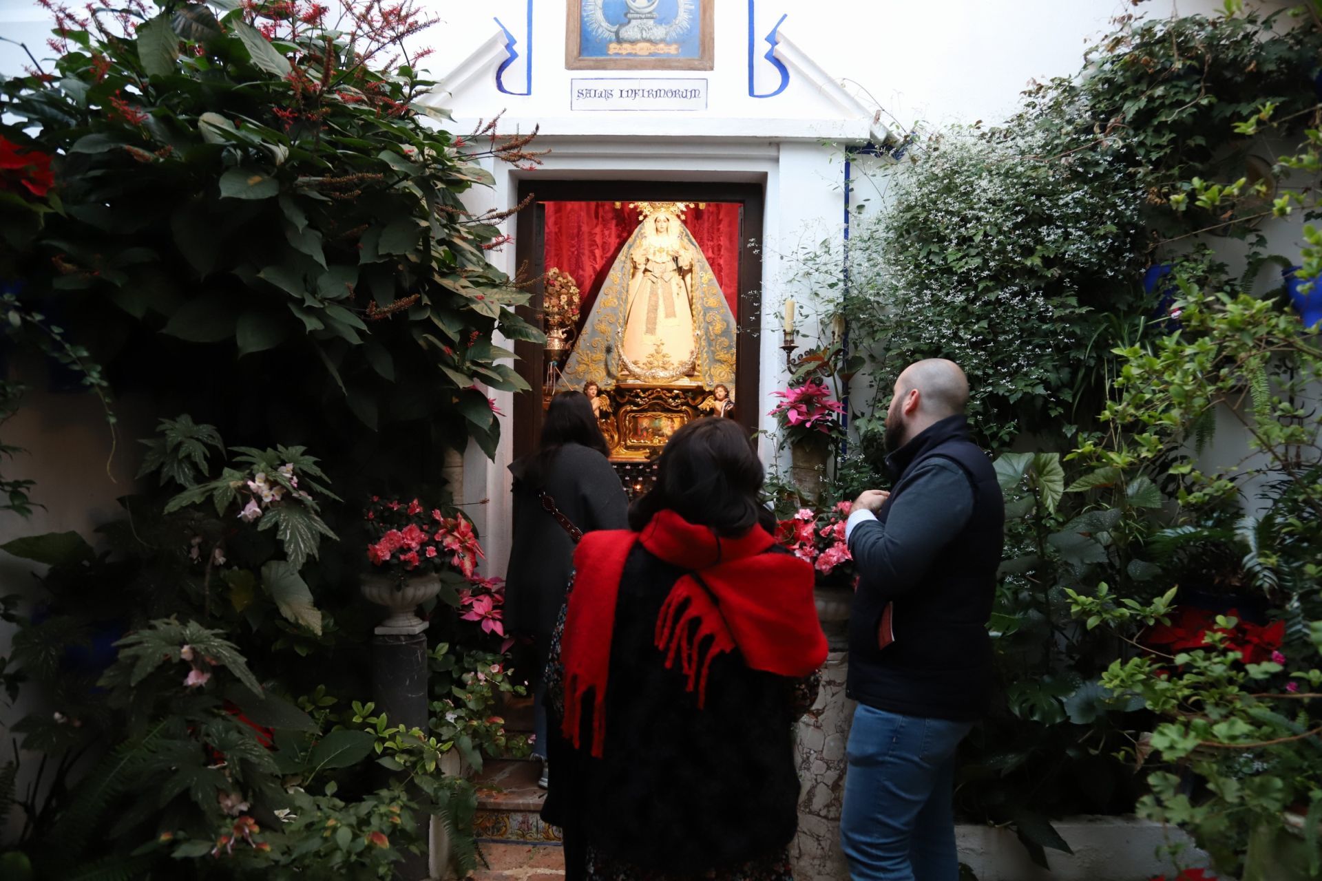 Los Patios de Córdoba abren sus puertas en Navidad, en imágenes