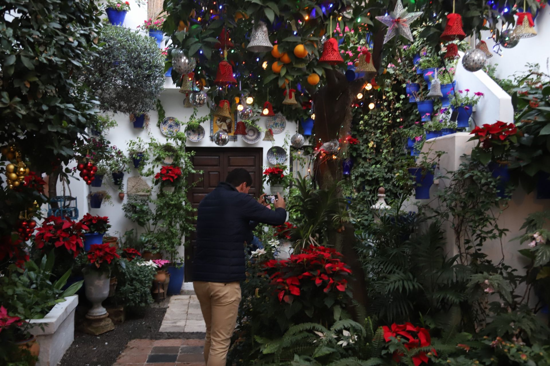 Los Patios de Córdoba abren sus puertas en Navidad, en imágenes