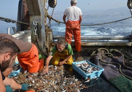 Los pescadores de Motril califican de «fracaso estrepitoso» el acuerdo pesquero de la UE