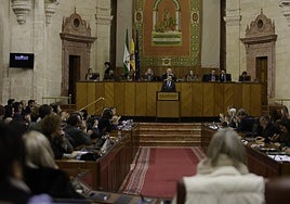 Un diputado de Vox llama al PSOE andaluz «perrillo faldero» de Pedro Sánchez y se arma una bronca en el Parlamento