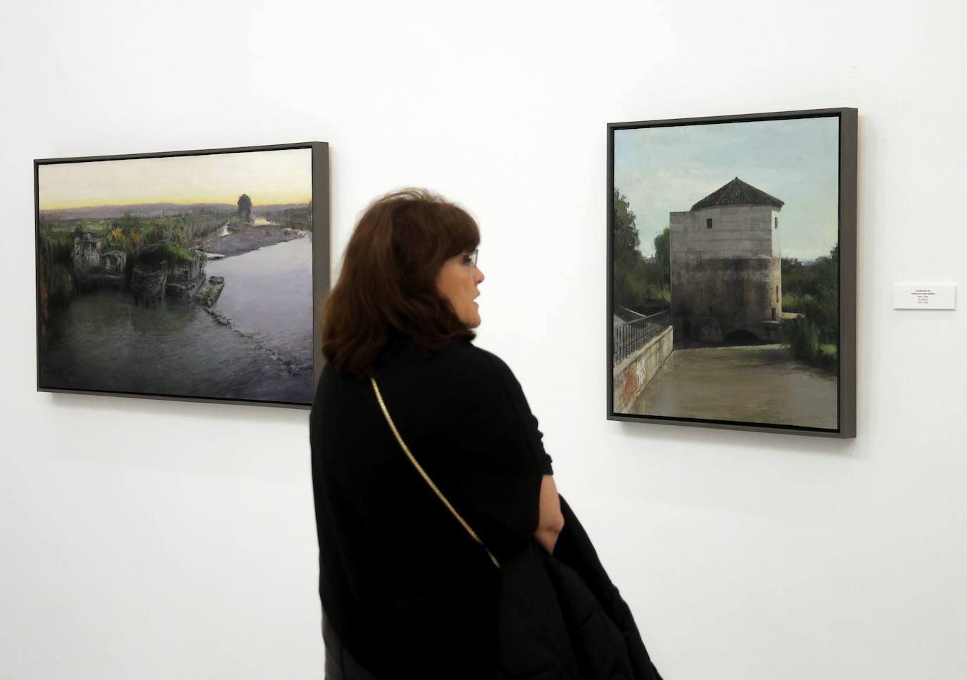 La exposición de pintura de Francisco Vera en Córdoba, en imágenes