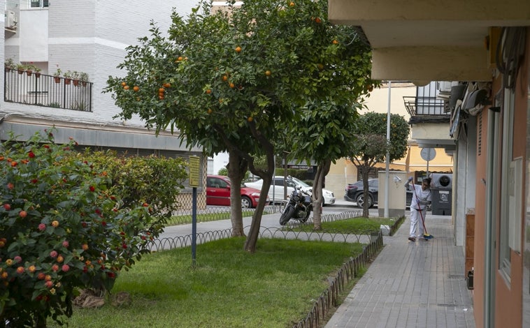 Imagen principal - Árboles, vegetación y distintos rincones de los espacios privados de uso público en los bloques 1 al 9 de la calle José Altolaguirre, en el Parque Cruz Conde