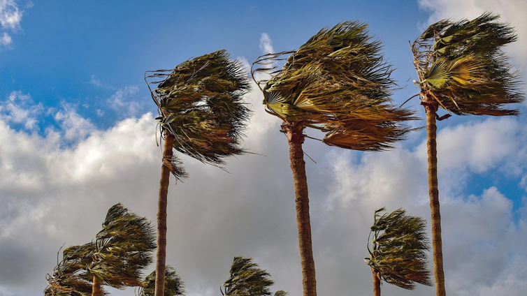 La borrasca Dorothea obliga a cancelar las clases en El Hierro, Tenerife, La Gomera y zonas de La Palma