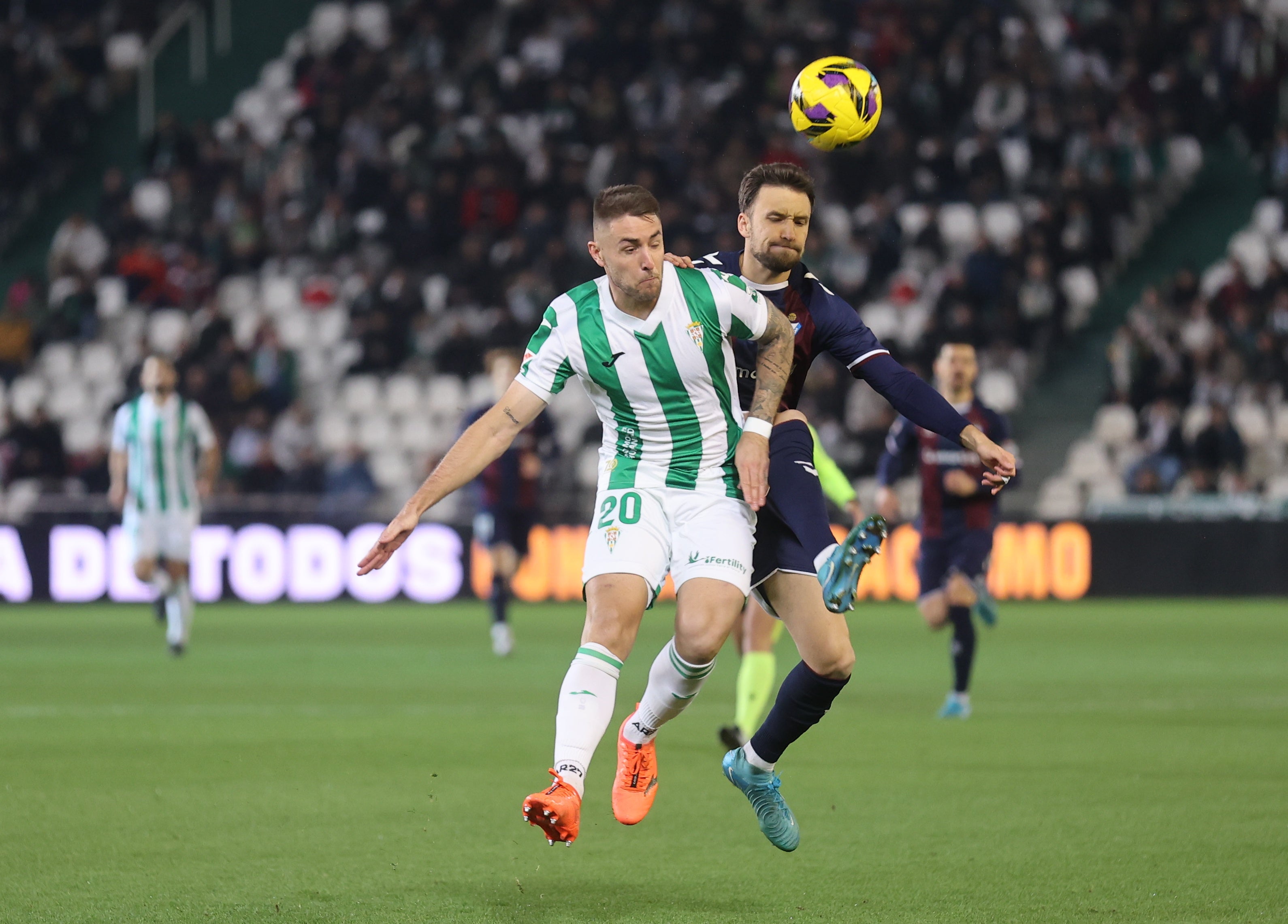 La alegría del triunfo del Córdoba ante el Eibar, en imágenes