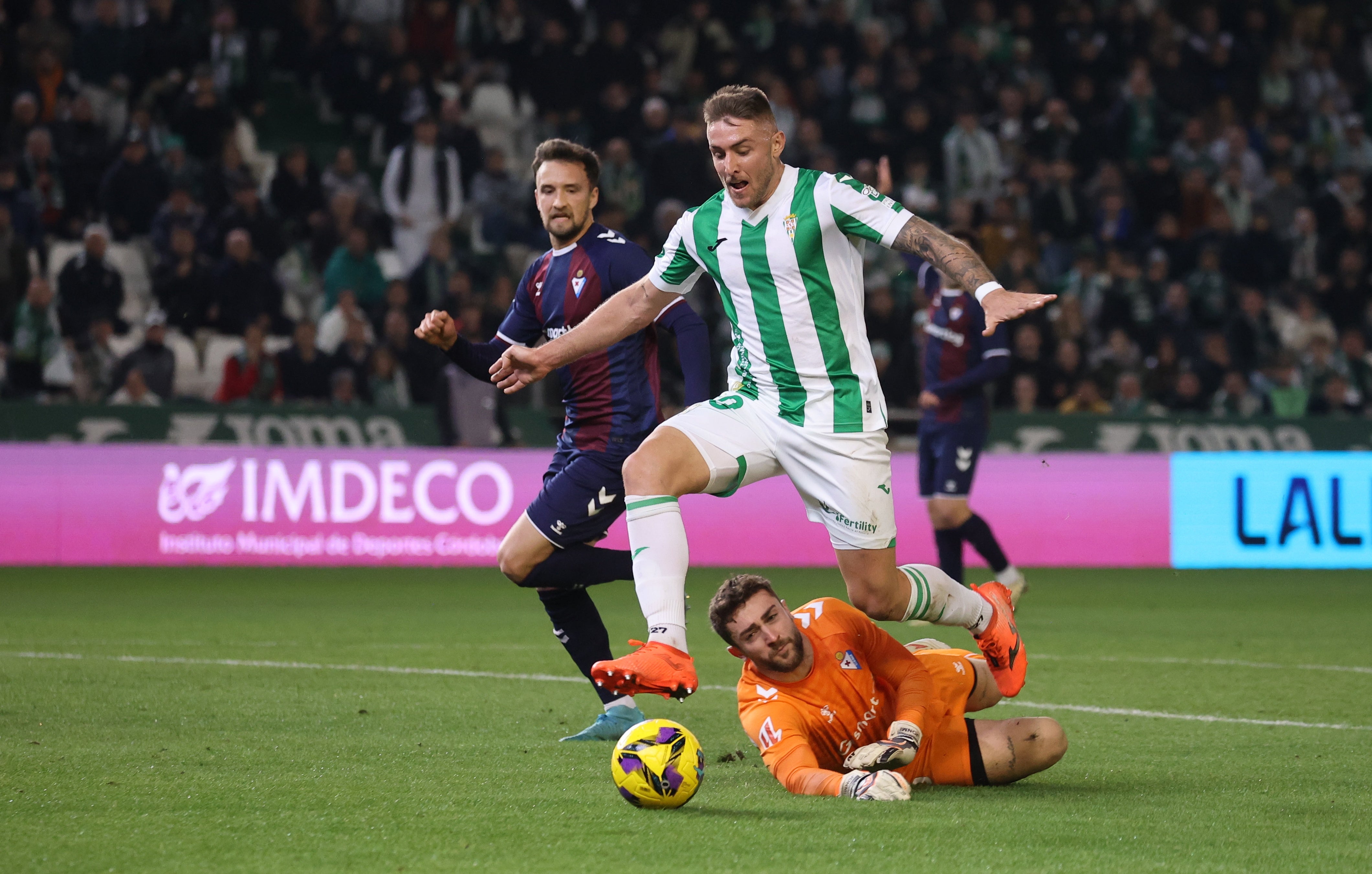 La alegría del triunfo del Córdoba ante el Eibar, en imágenes