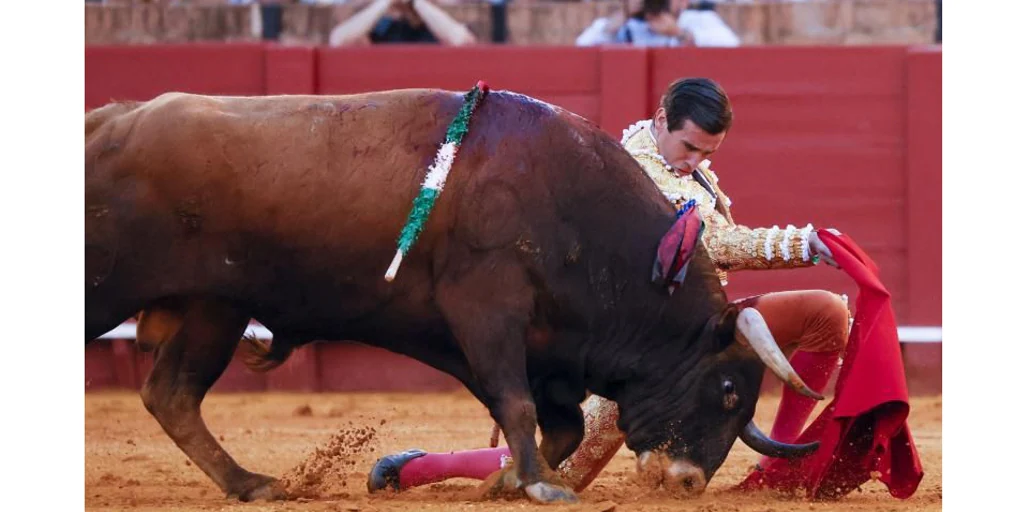 Manzanares, Talavante, Adrián y Ortega, cartel estrella en la Feria del Milagro de Illescas