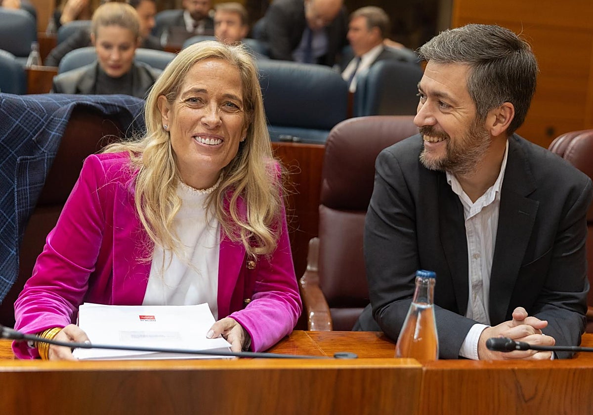 Los consejeros de Economía y Presidencia, Rocío Albert y Miguel Ángel García, en el Pleno