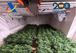 La Policía detiene a 16 miembros de un clan que traficaba con marihuana en las cercanías de Granada