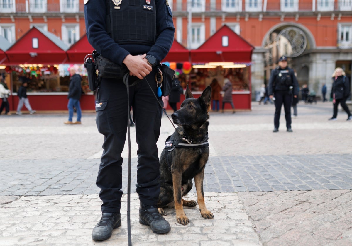 Agente de Policía Nacional