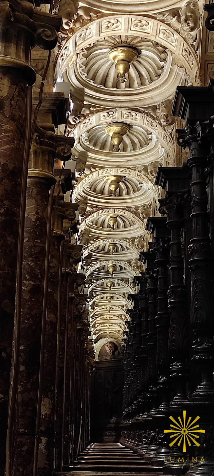 Espectaculares imágenes de &quot;Lumina Catedral de Toledo&#039;, que cumple su primer año de vida