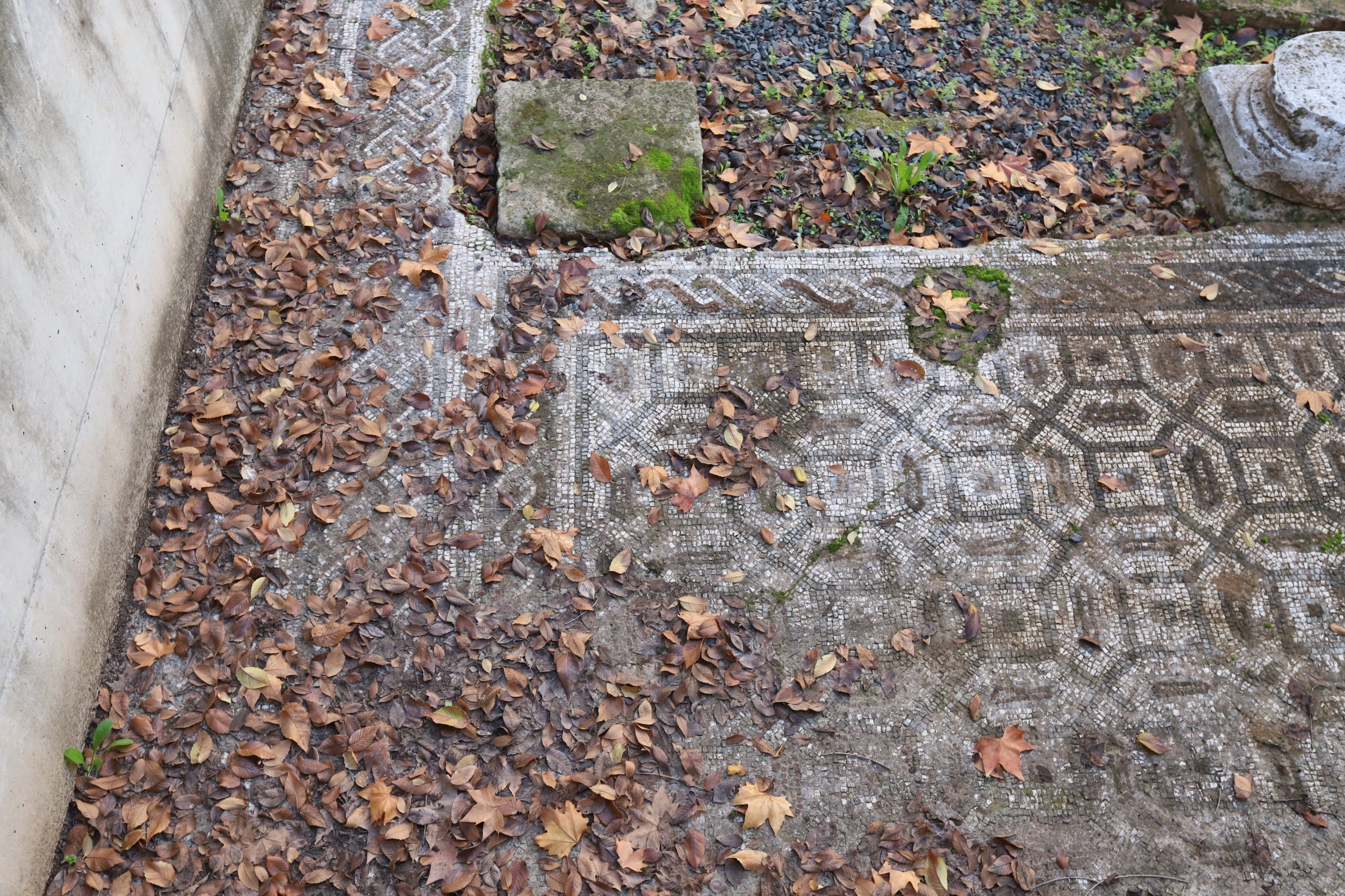 La valiosa villa romana que sale a subasta en Córdoba, en imágenes