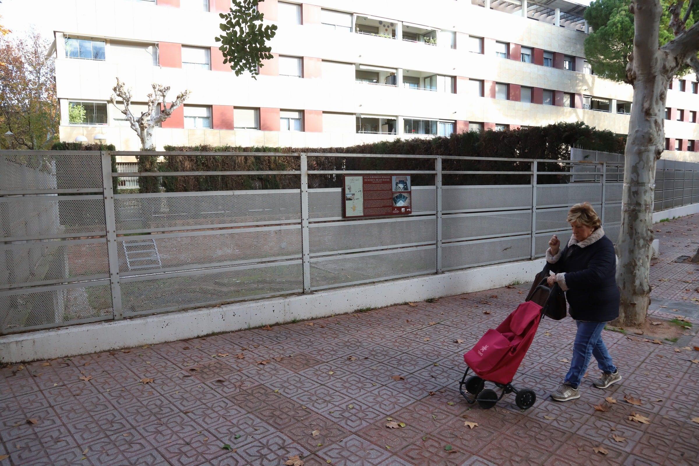 La valiosa villa romana que sale a subasta en Córdoba, en imágenes