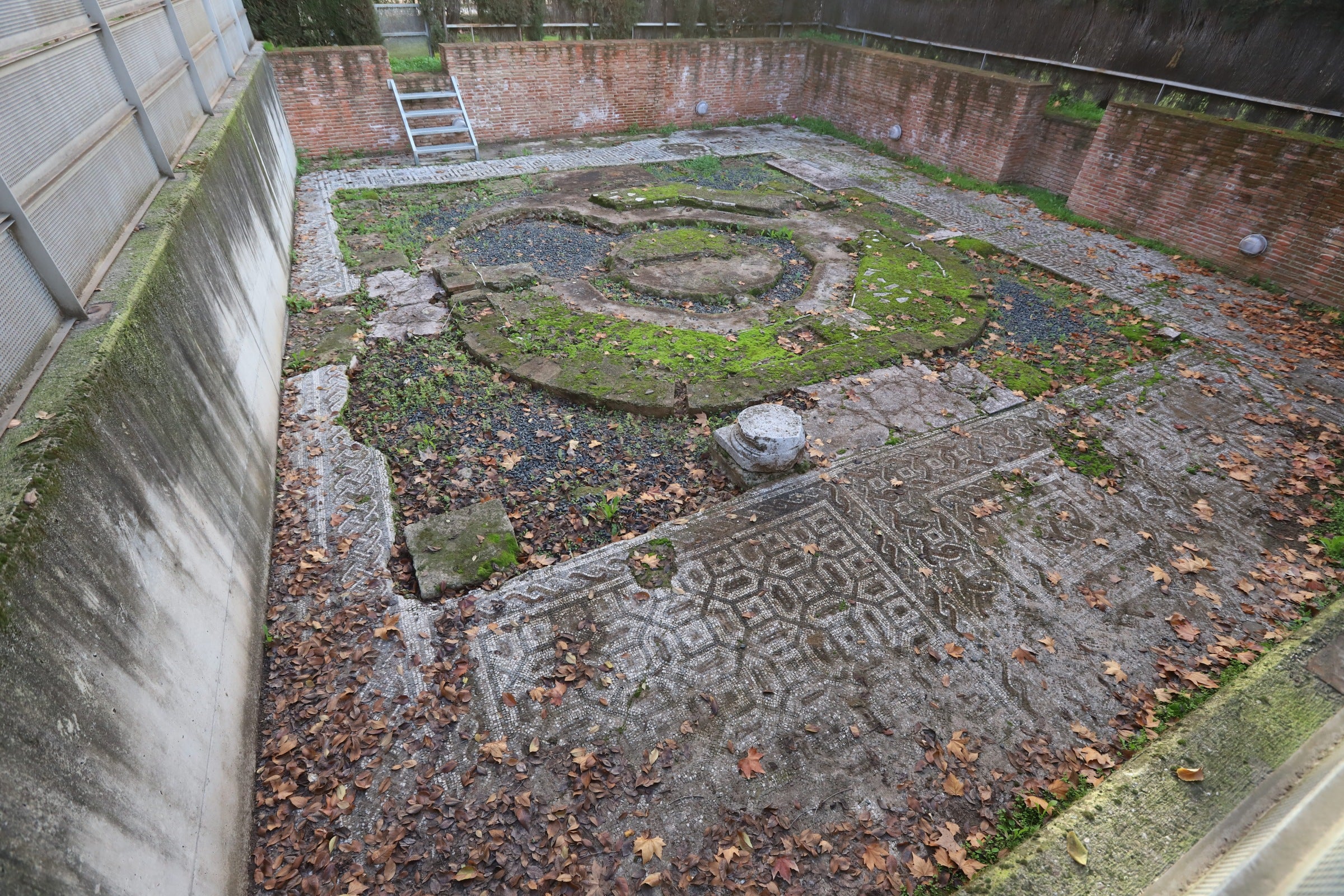 La valiosa villa romana que sale a subasta en Córdoba, en imágenes