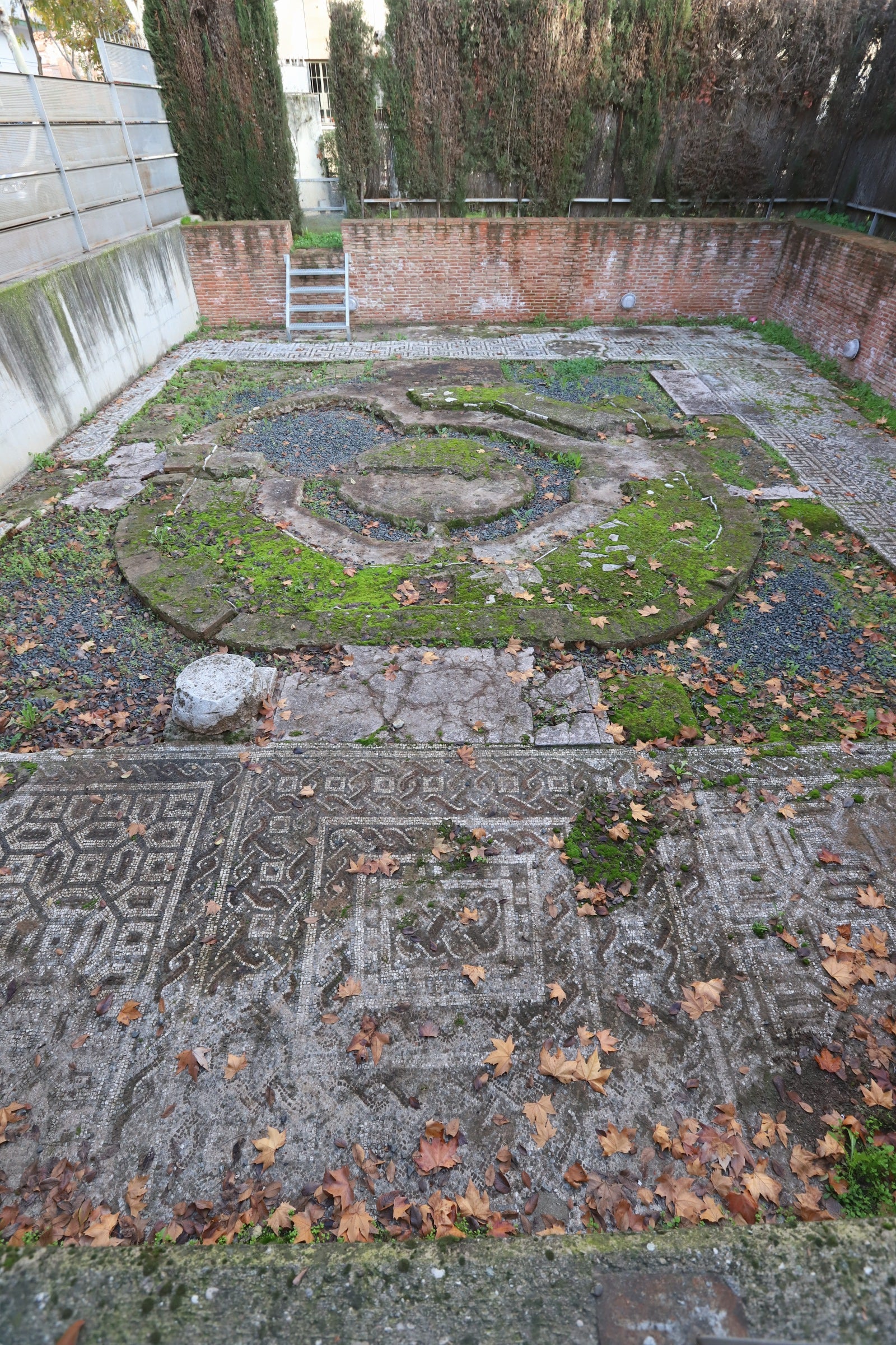 La valiosa villa romana que sale a subasta en Córdoba, en imágenes